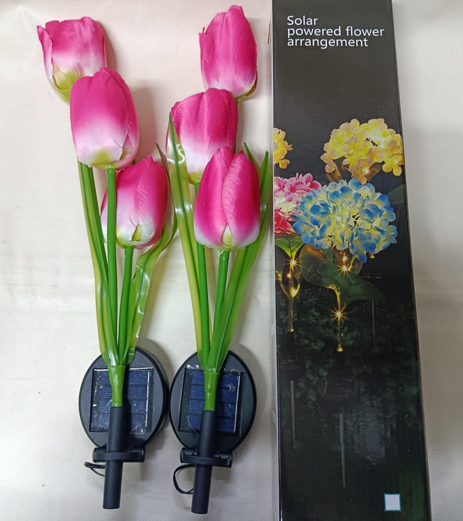 TULIPAN SOLAR PACK X 2 |AJ440343|