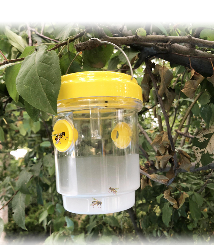 TRAMPA SOLAR CON LUZ LED PARA AVISPAS, AVISPONES Y MOSCAS |MY-WASP|