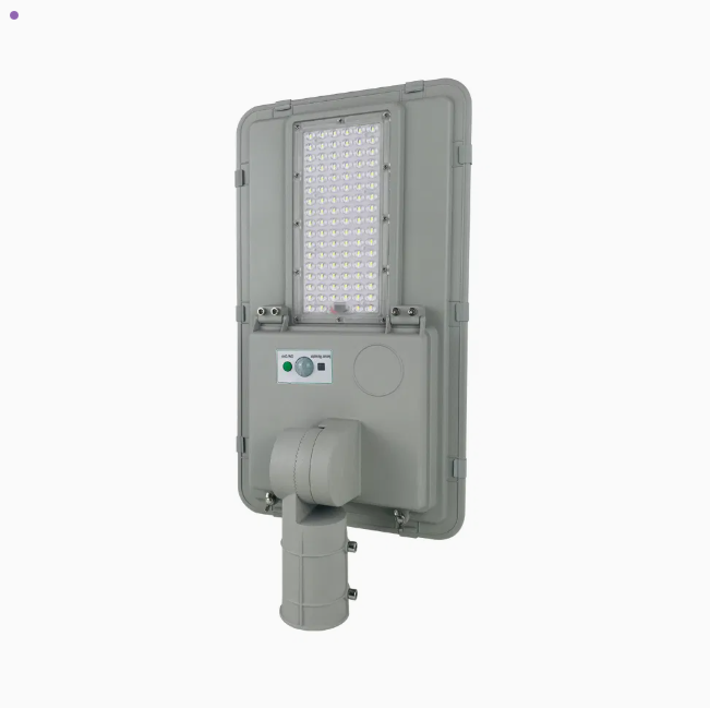 LUZ PASTORAL LANTUN DE ALTA DURACION   100W