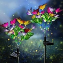 MARIPOSAS SOLARES |P-132|