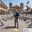 AHUYENTADOR DE AVES EOLICO Y SOLAR |10347|