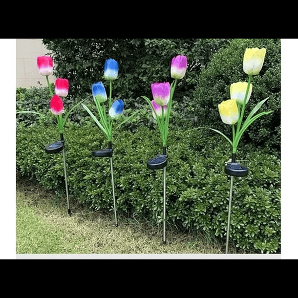 TULIPAN SOLAR PACK X 2 |AJ440343|