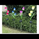 TULIPAN SOLAR PACK X 2 |AJ440343|