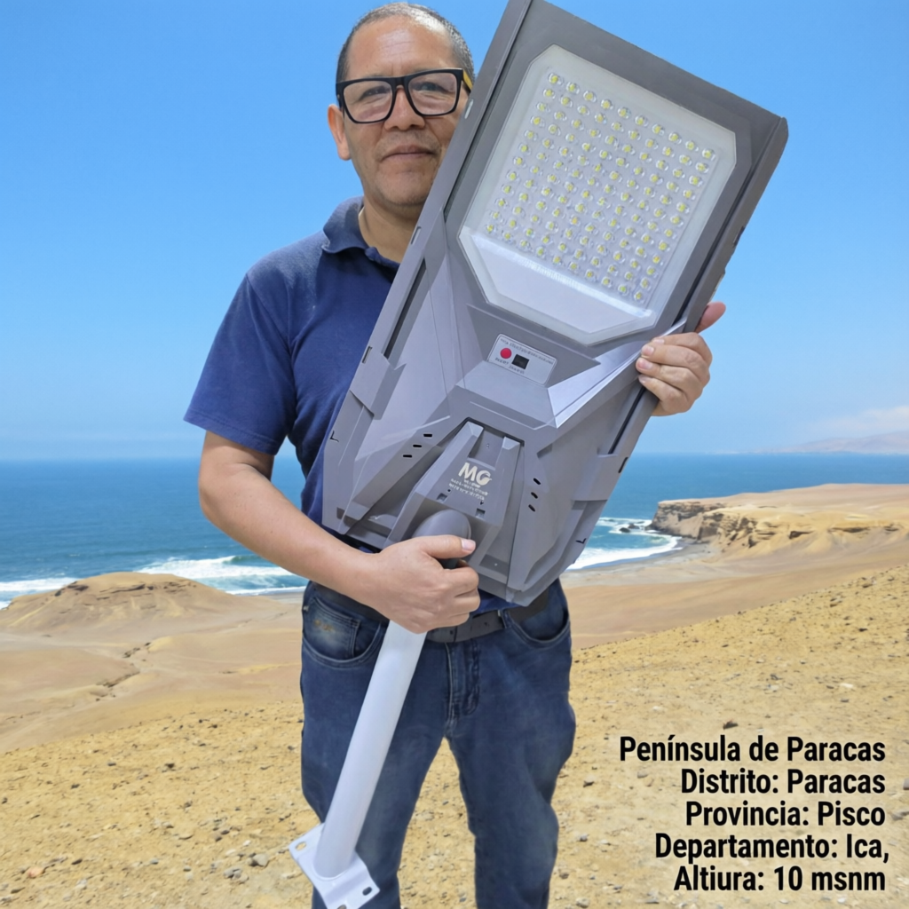 LUCES SOLARES MOD. PASTORAL 300W + SOPORTE |440532| 