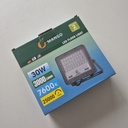 REFLECTOR ELECTRICO 30W |440254|